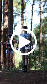 BIB:  <button type="button" onclick="openModal(26568668)" class="btn btn-primary btn-sm float-right" data-toggle="modal" data-target=".modal-high-quality">
                <i class="fa fa-download"></i> Download
                </button>